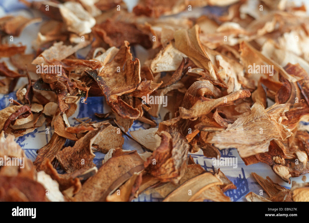 penny bun, cep (Boletus edulis), dried pieces Stock Photo