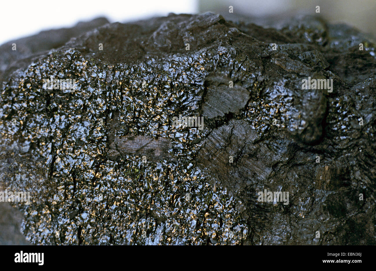 Bituminous coal sedimentary rock hires stock photography and images