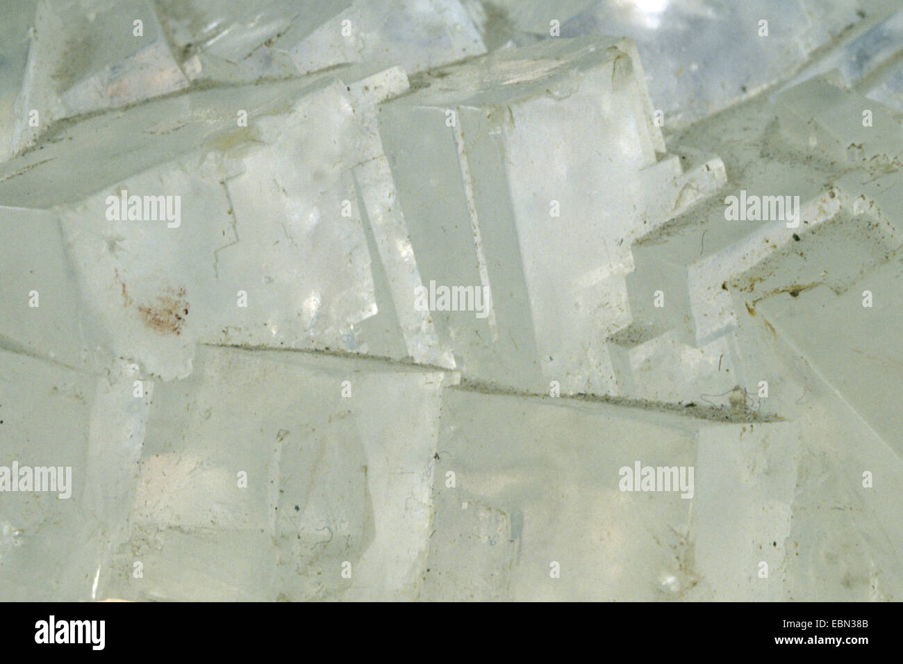 rock salt, USA, California Stock Photo Alamy