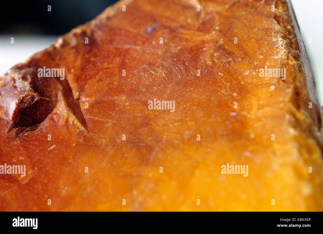 Fossil resins hi res stock photography and images Alamy Fossil resins hi res stock photography and images Alamy
