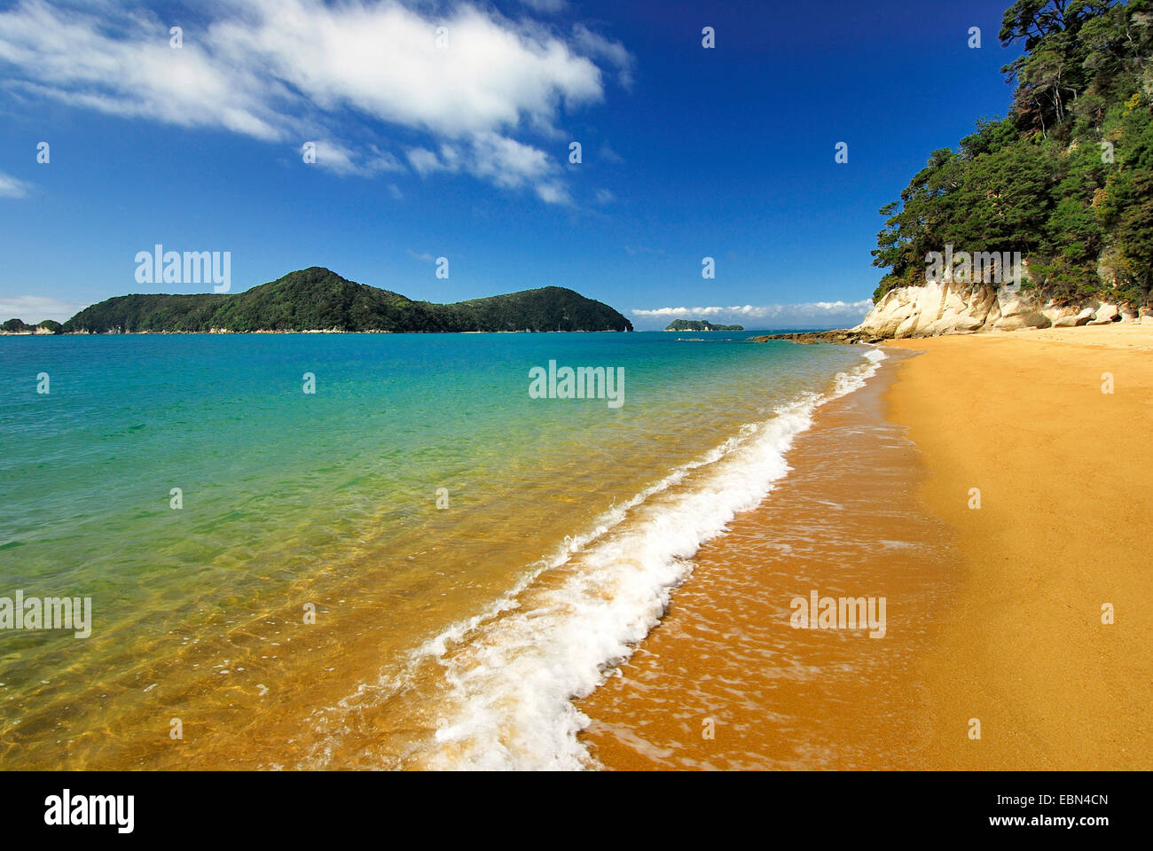 sandy beach in the Abel Tasman National Park, New Zealand, Southern Island, Abel Tasman National Park Stock Photo