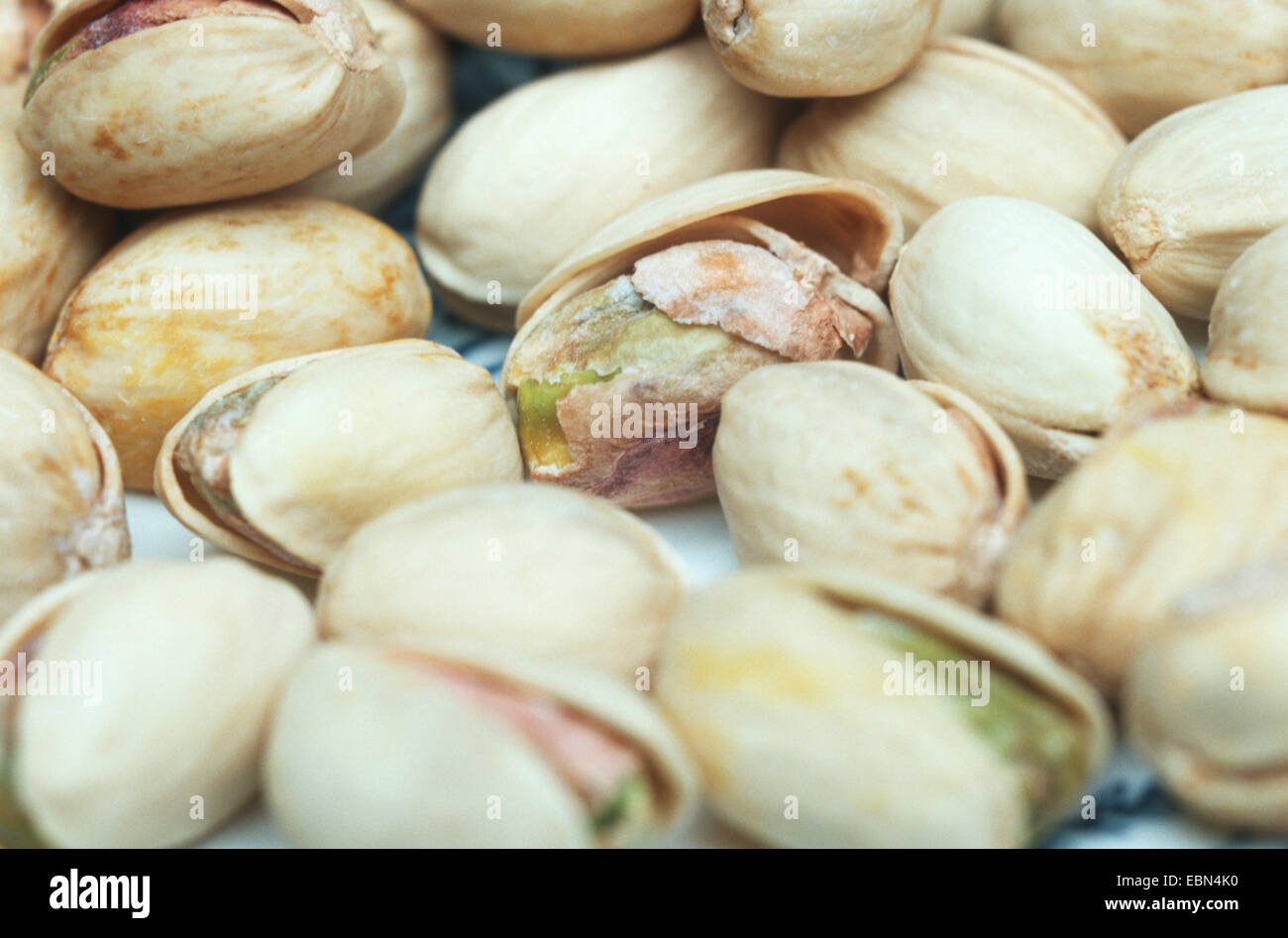 pistachio nut (Pistacia vera), fruits Stock Photo Alamy