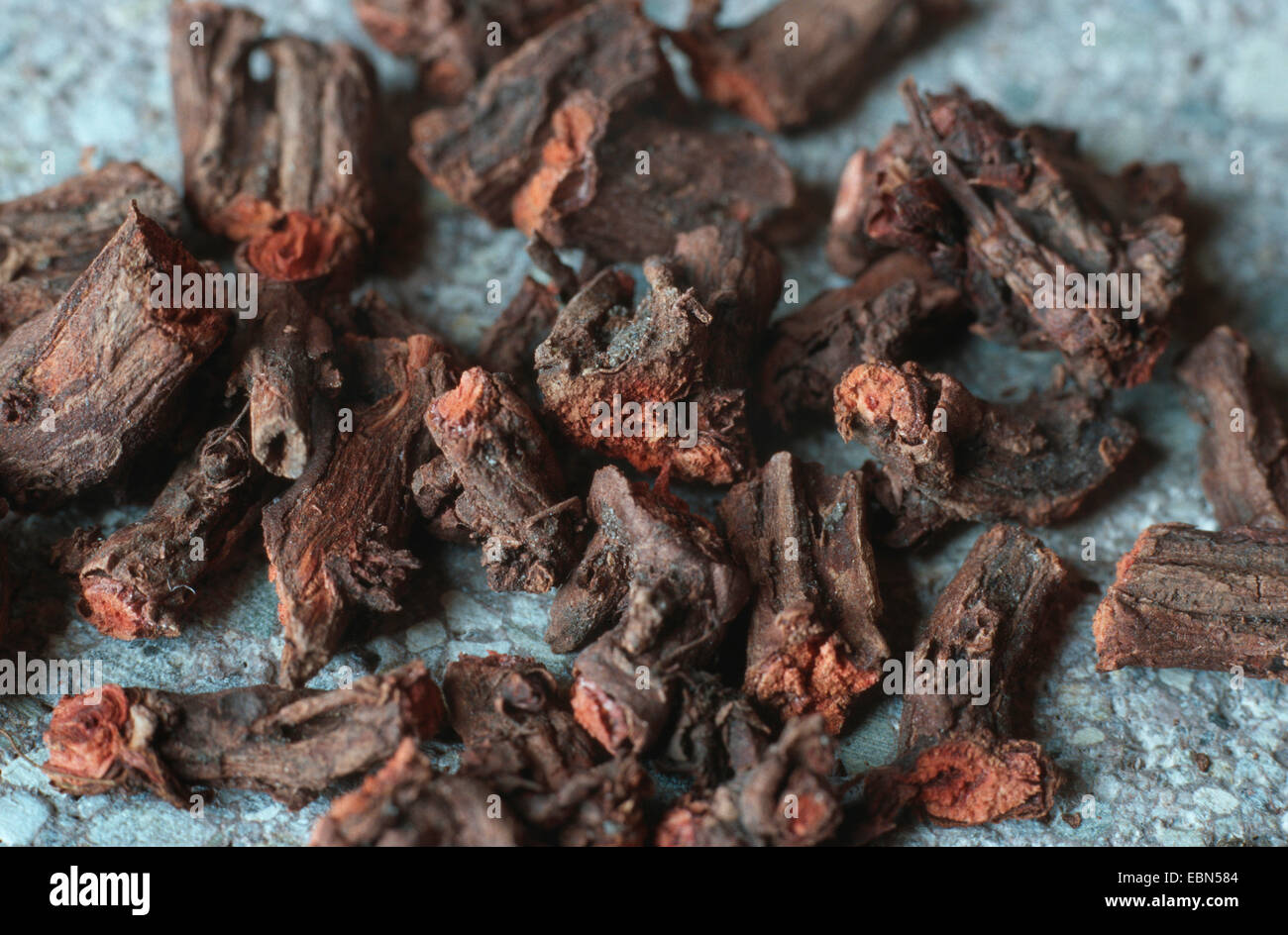madder (Rubia tinctoria, Rubia tinctorum), dried roots uses for coloring Stock Photo