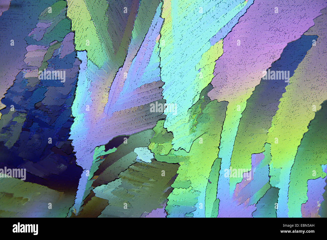 crystalls of urea in polarized light Stock Photo