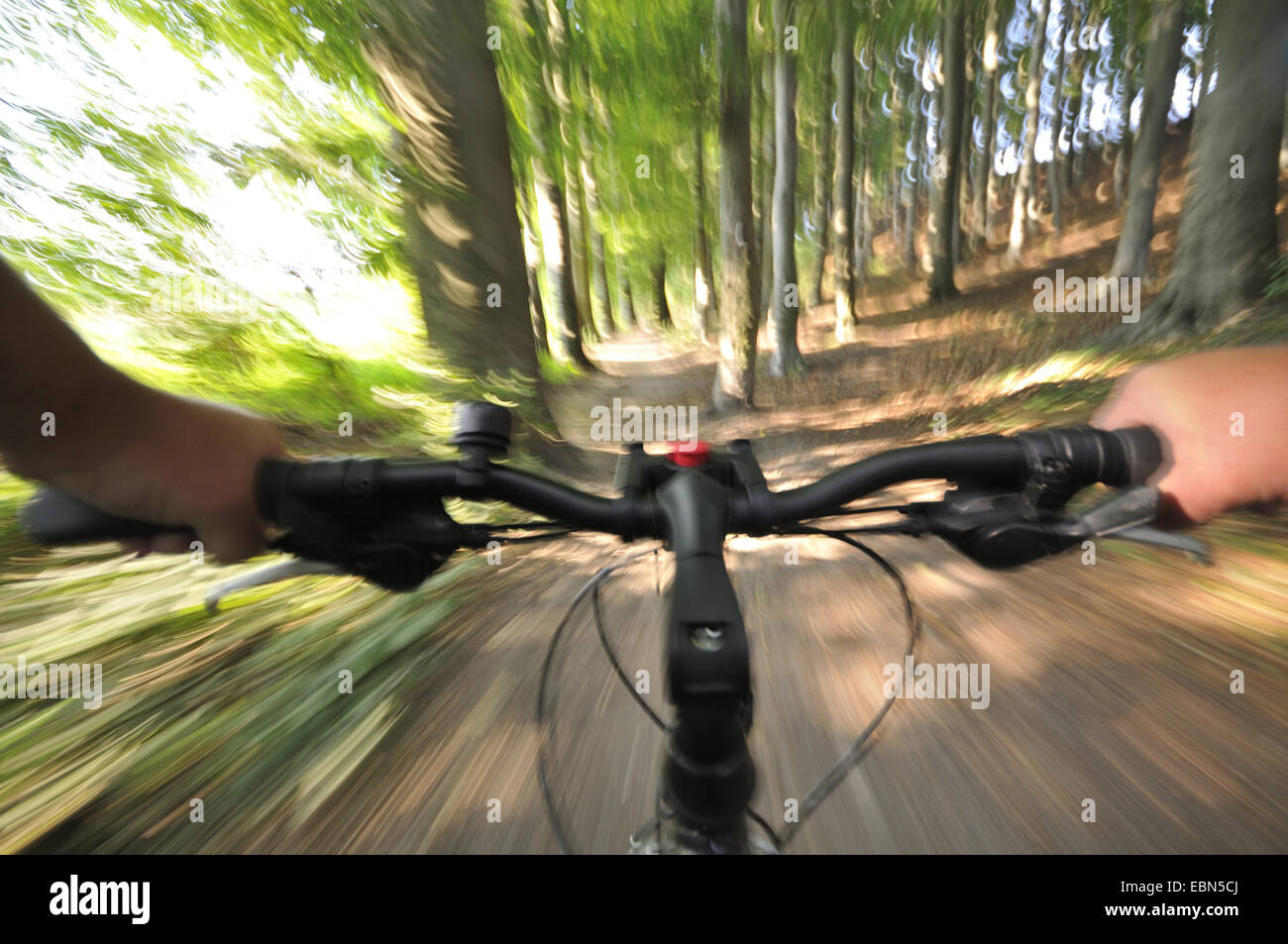 riding a bike in a forest, Germany, North Rhine-Westphalia, Ruhr Area Stock Photo