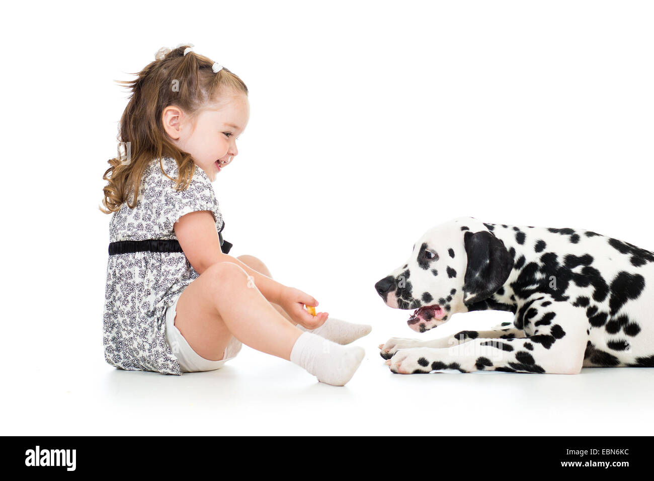 kid girl playing puppy dog Stock Photo