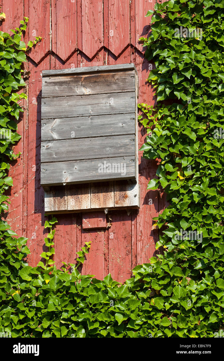 Bat box garden hi-res stock photography and images - Alamy