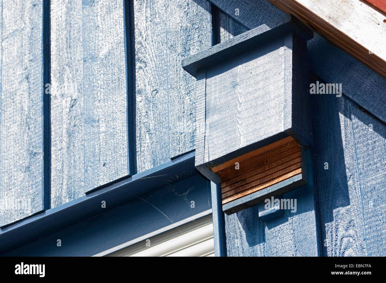 nesting box for bats at wooden cladding, Germany Stock Photo