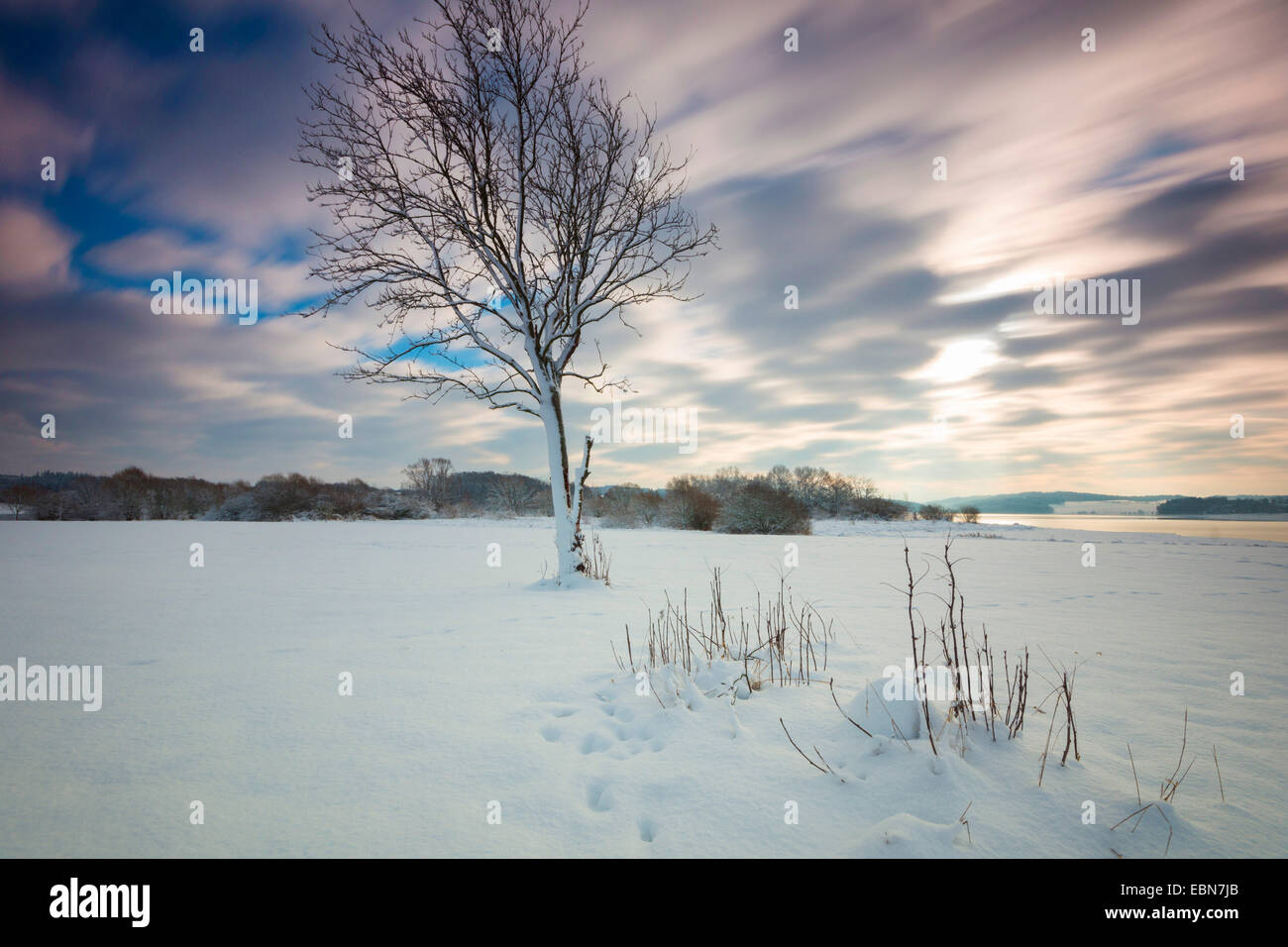 winter scenery near Poehl storage lake, Germany, Saxony, Jocketa Stock Photo
