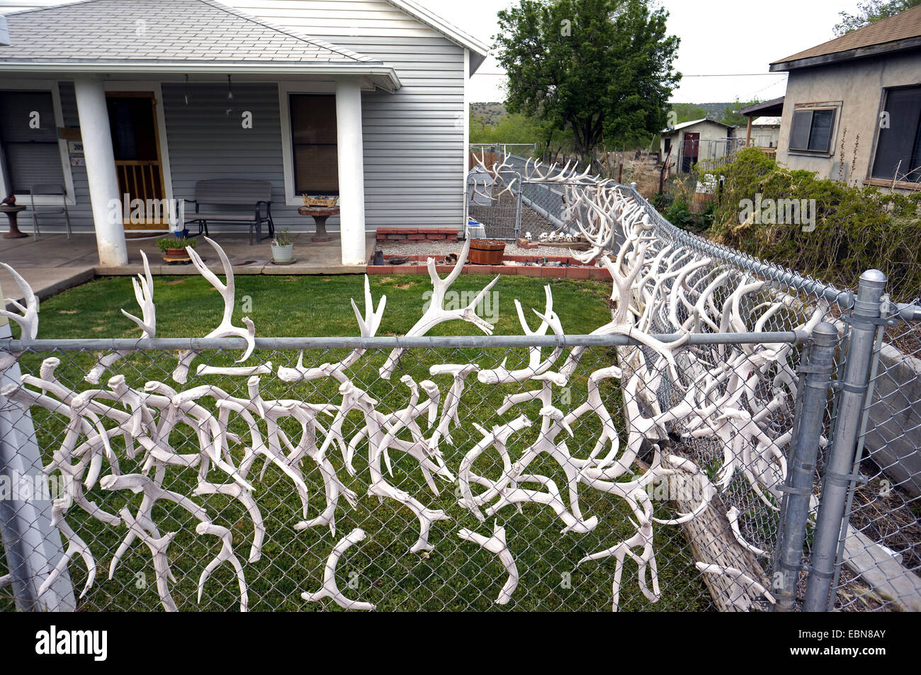 garden fence of a residental building adorned with lots of antlers serving as hunting trophies, USA, Arizona, Seligman Stock Photo