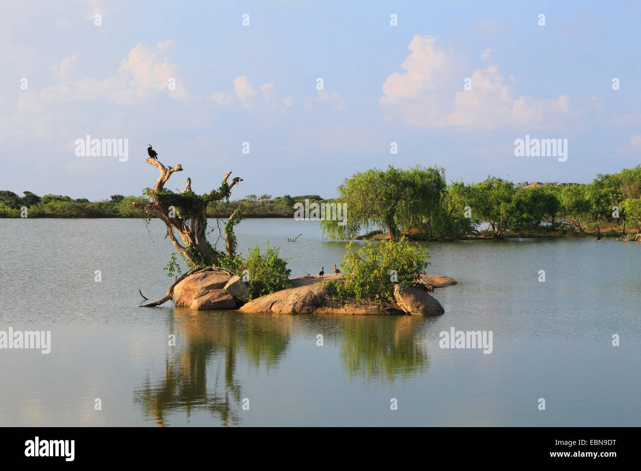 lake with isle, Sri Lanka, Yala National Park Stock Photo
