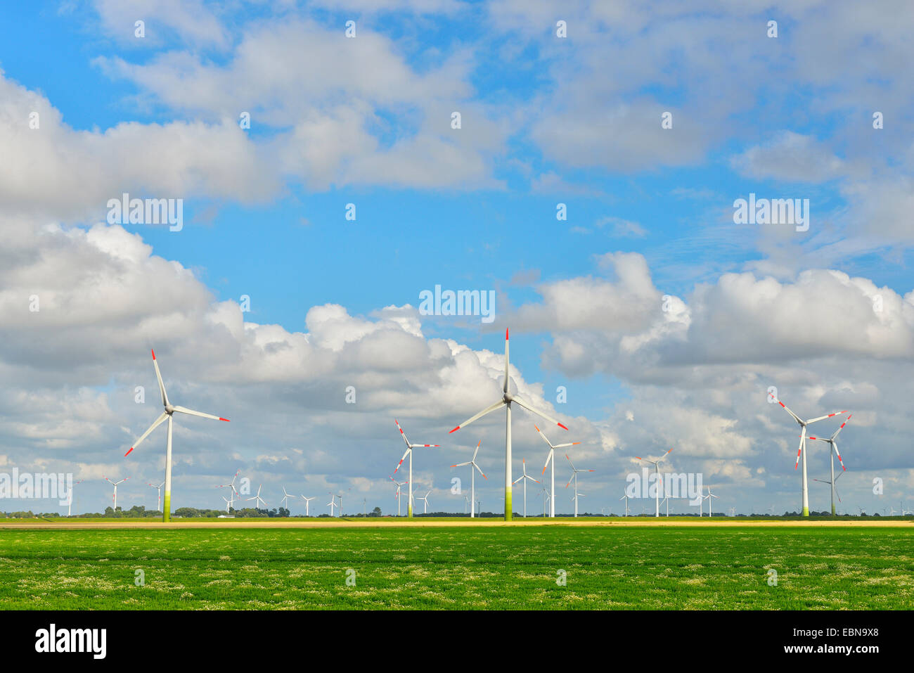 field landscape with wind turbines, Germany, Schleswig-Holstein, Wesselburenerkoog Stock Photo