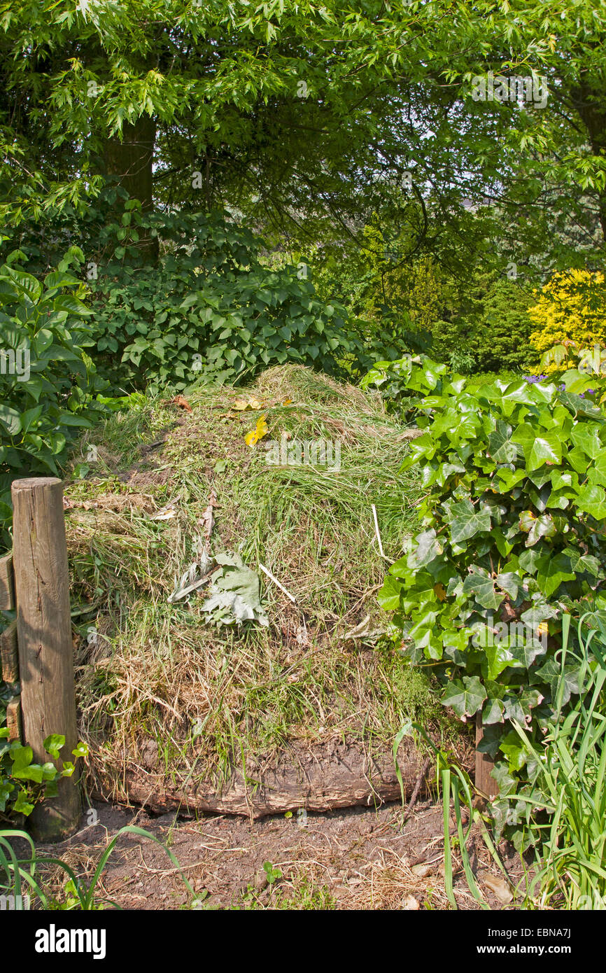 compost heap, Germany Stock Photo