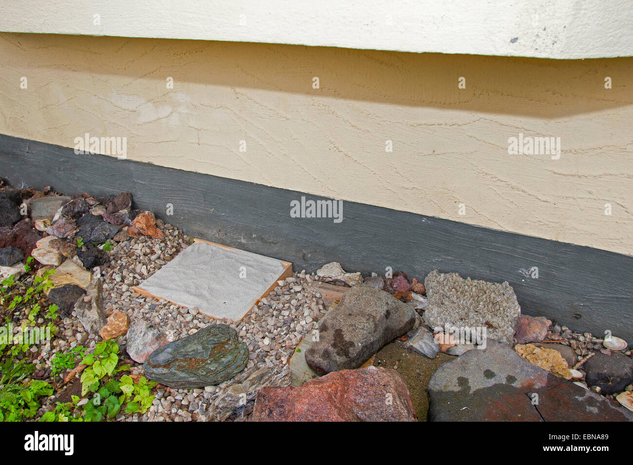 sandpit  for the settlement of antlions under a rain-protected house projection, Germany Stock Photo