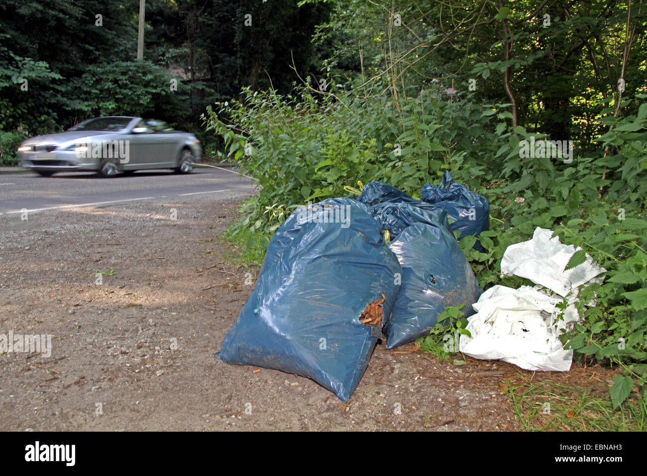 blue binbags at the roadside, illegal waste disposal, Germany Stock
