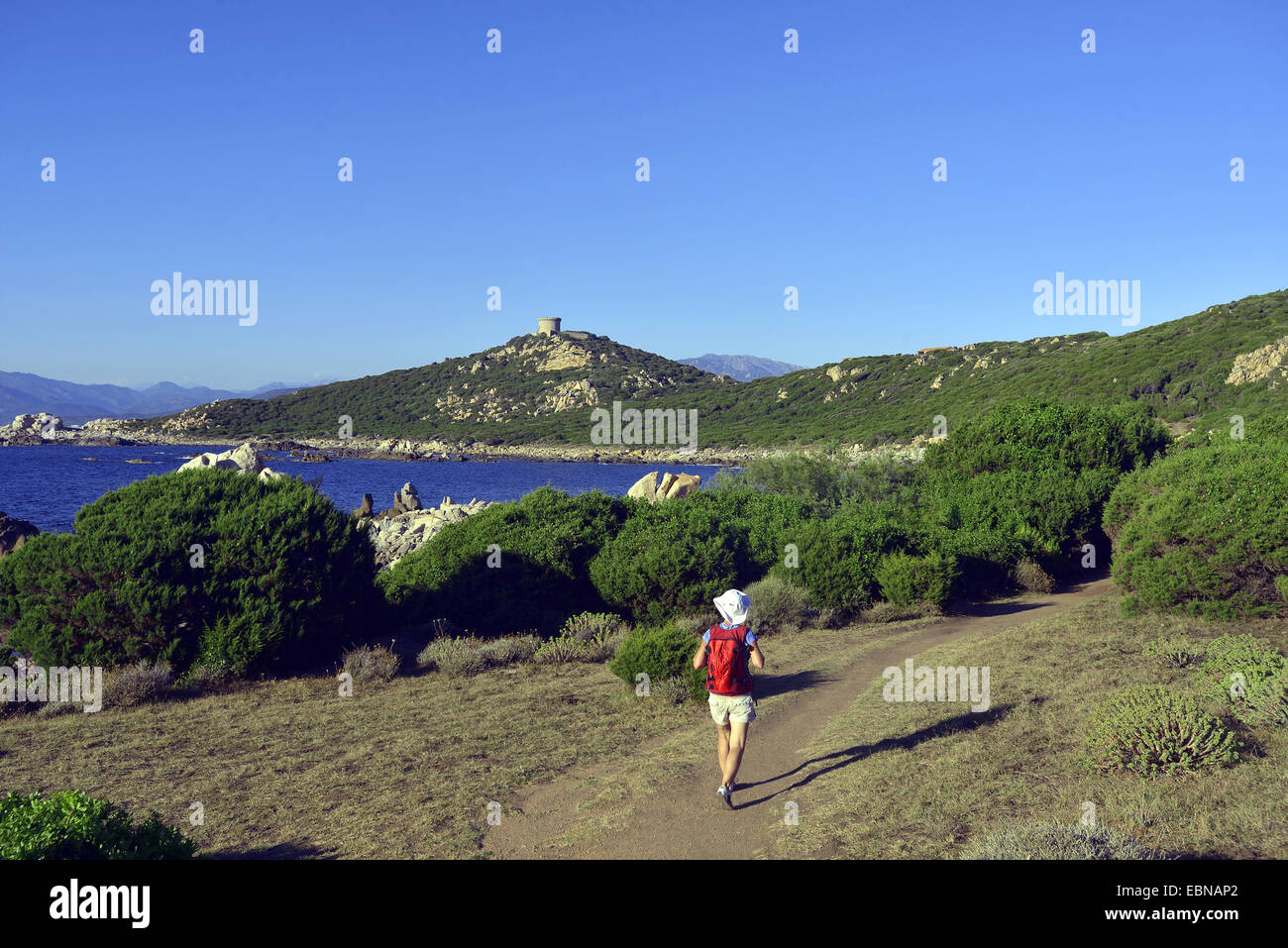 wanderer on path near the coast, Genoese tower in background, France, Corsica, Campomoro, Propriano Stock Photo