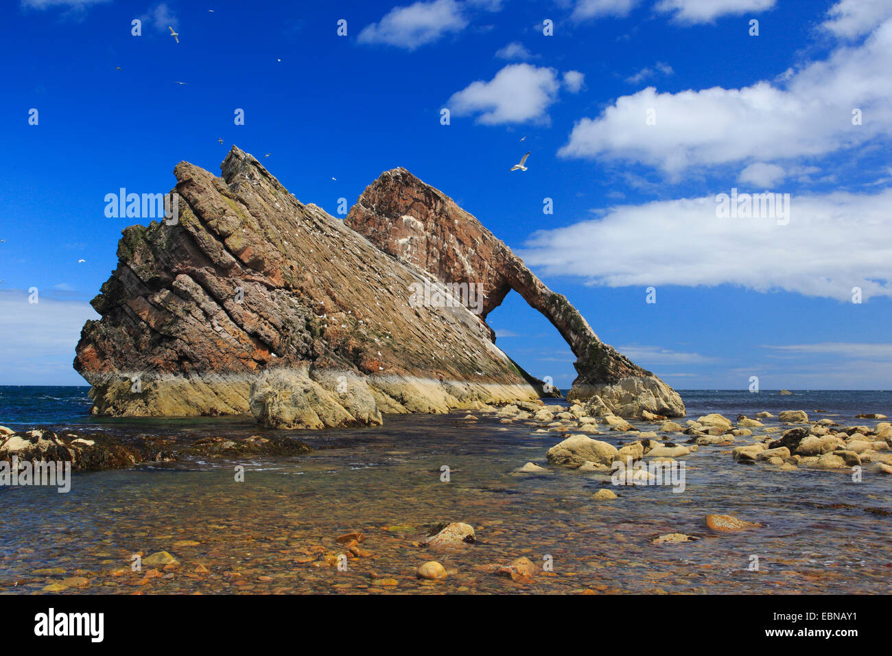Bow Fiddle Rock at the coast, United Kingdom, Scotland Stock Photo