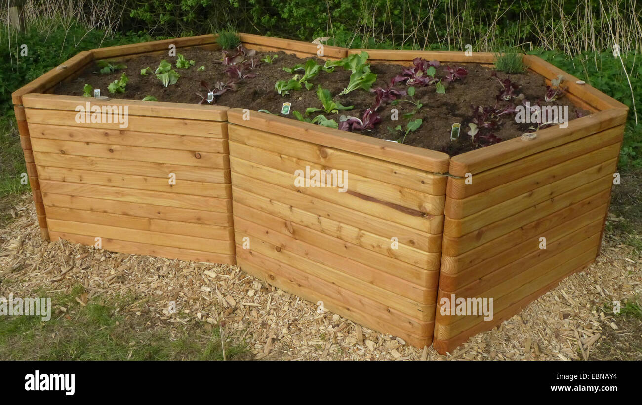 Raised bed allotment hires stock photography and images Alamy