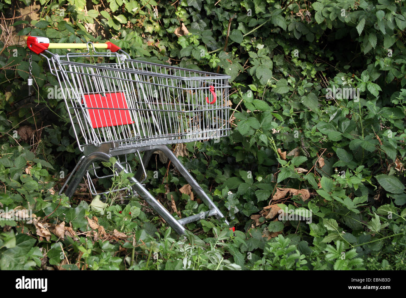 stolen shopping cart in the landscape Stock Photo Alamy