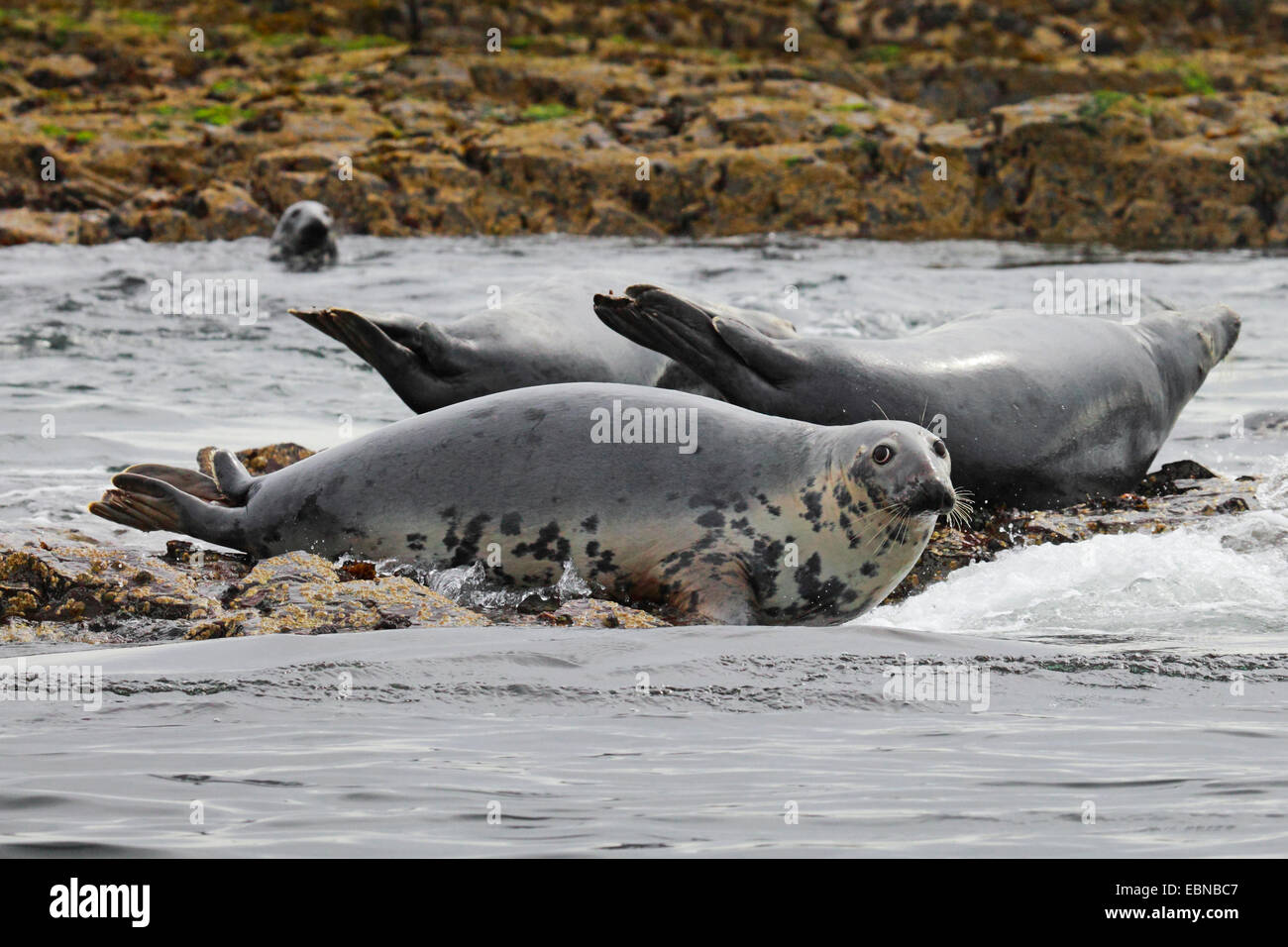 Three seascapes hires stock photography and images Alamy