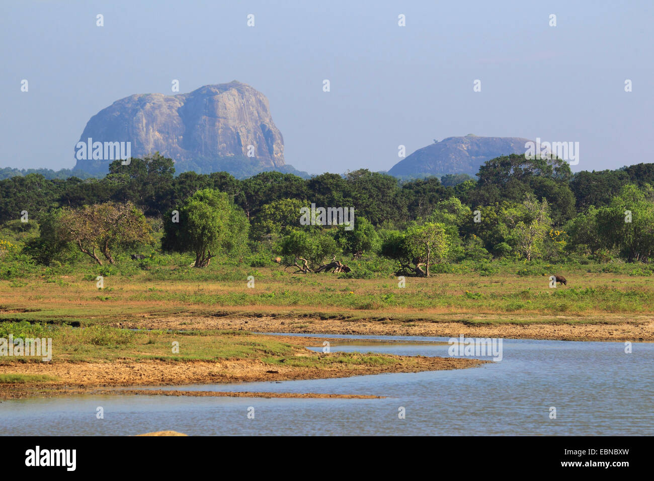 Elephant Rock at Yala National Park, Sri Lanka, Yala National Park Stock Photo