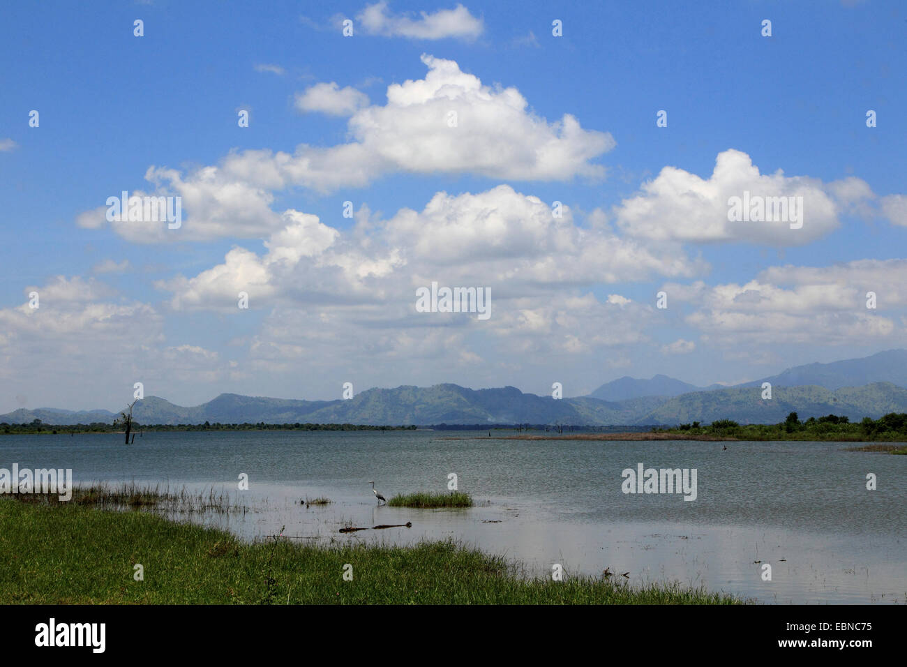 lake at Yala National Park, Sri Lanka, Yala National Park Stock Photo