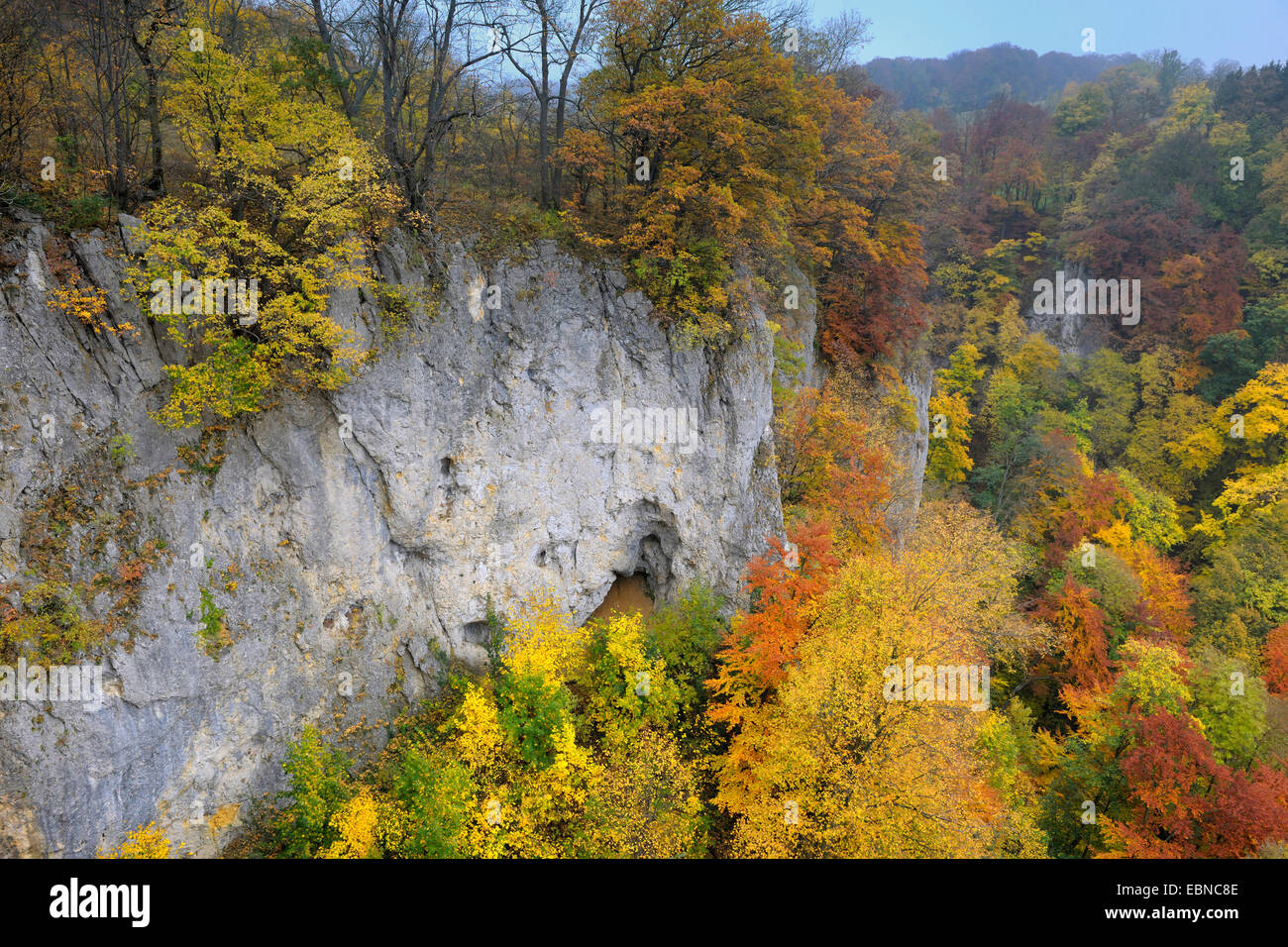 biosphere reserve Schwaebische Alb in autumn, Germany, Baden-Wuerttemberg Stock Photo
