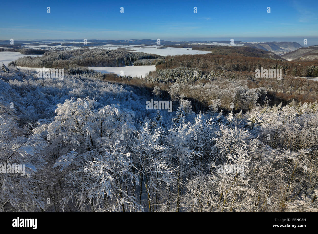 biosphere reserve Schwaebische Alb in winter, Germany, Baden-Wuerttemberg Stock Photo
