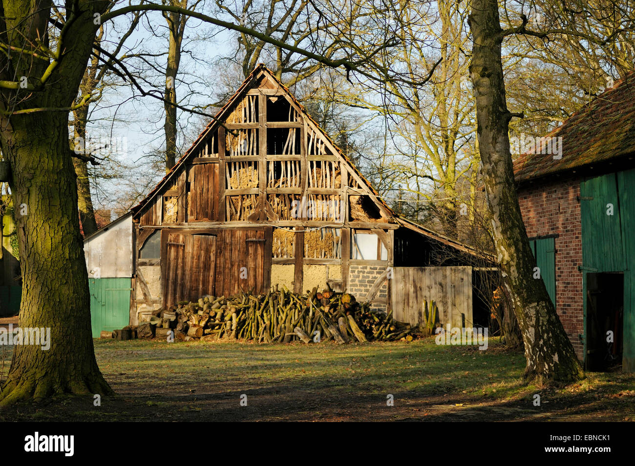 old barn at the Oldenburger Land, Germany, Lower Saxony Stock Photo