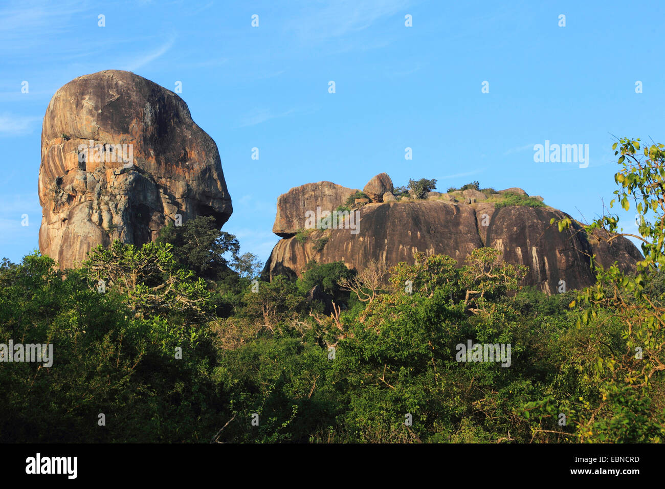 rock formations amidst shrubs, Sri Lanka, Yala National Park Stock Photo