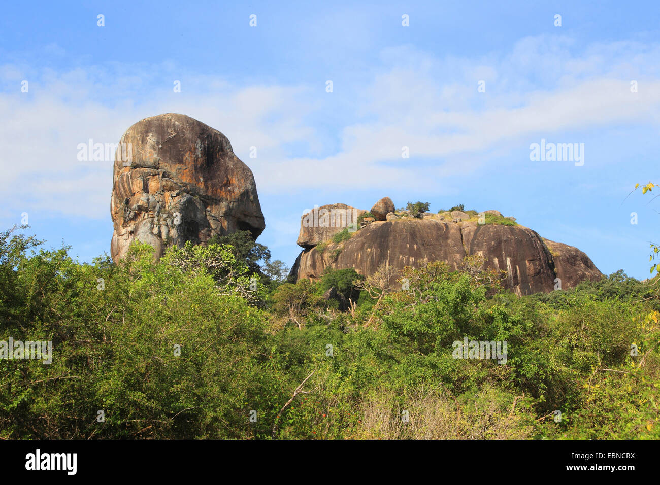 rock formations amidst shrubs, Sri Lanka, Yala National Park Stock Photo