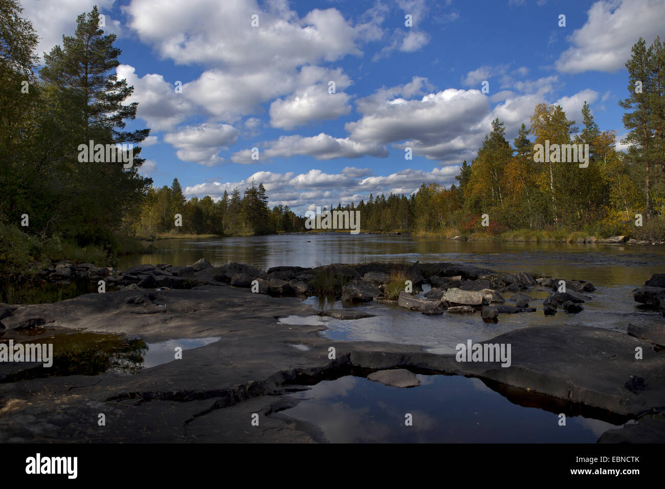 river scenery, Sweden, Hamra National Park Stock Photo