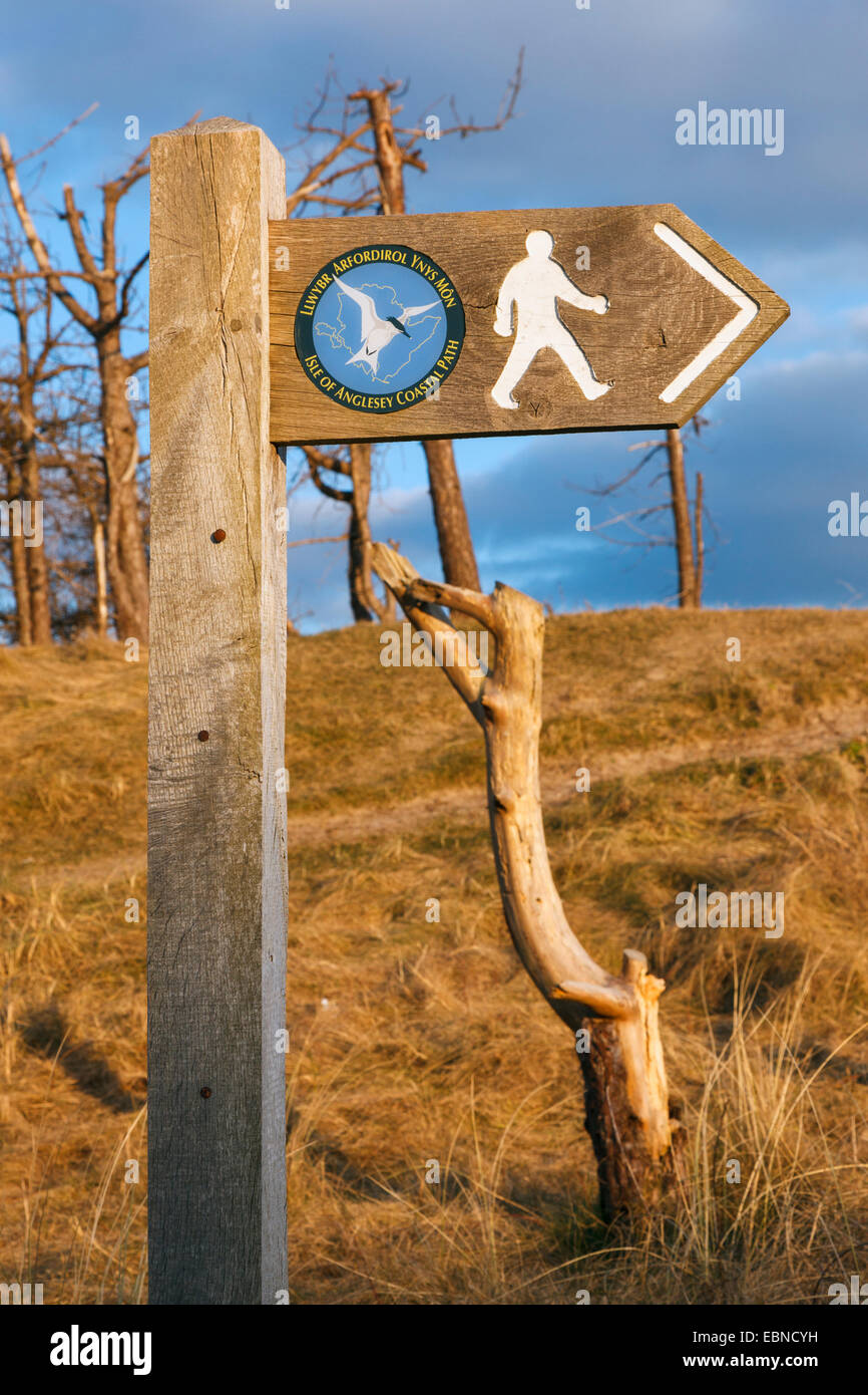 Isle of Anglesey Coastal Path sign with walking man and logo in Newborough Forest, Anglesey, North Wales, UK, Britain, Europe. Stock Photo