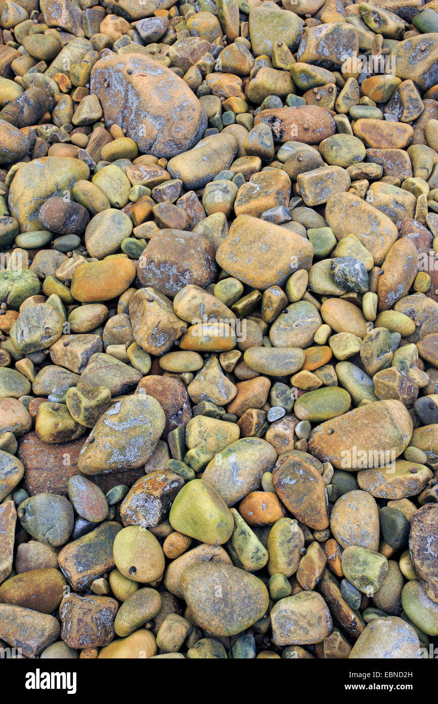 pebbles on the beach, United Kingdom, Scotland Stock Photo