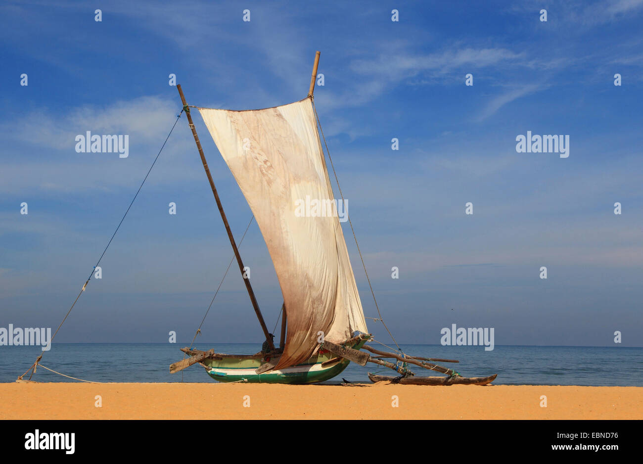 outrigger boat with set sail on the beach of Negombo, Sri Lanka Stock Photo