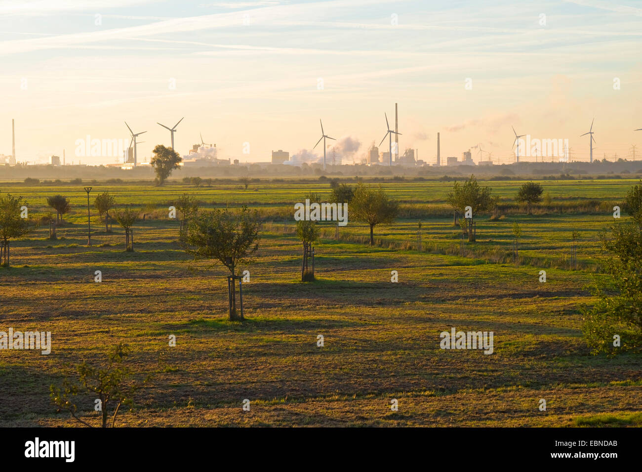 field landscape and fruit tree meadows in morning light, steel industry in background, Germany, Bremen Stock Photo