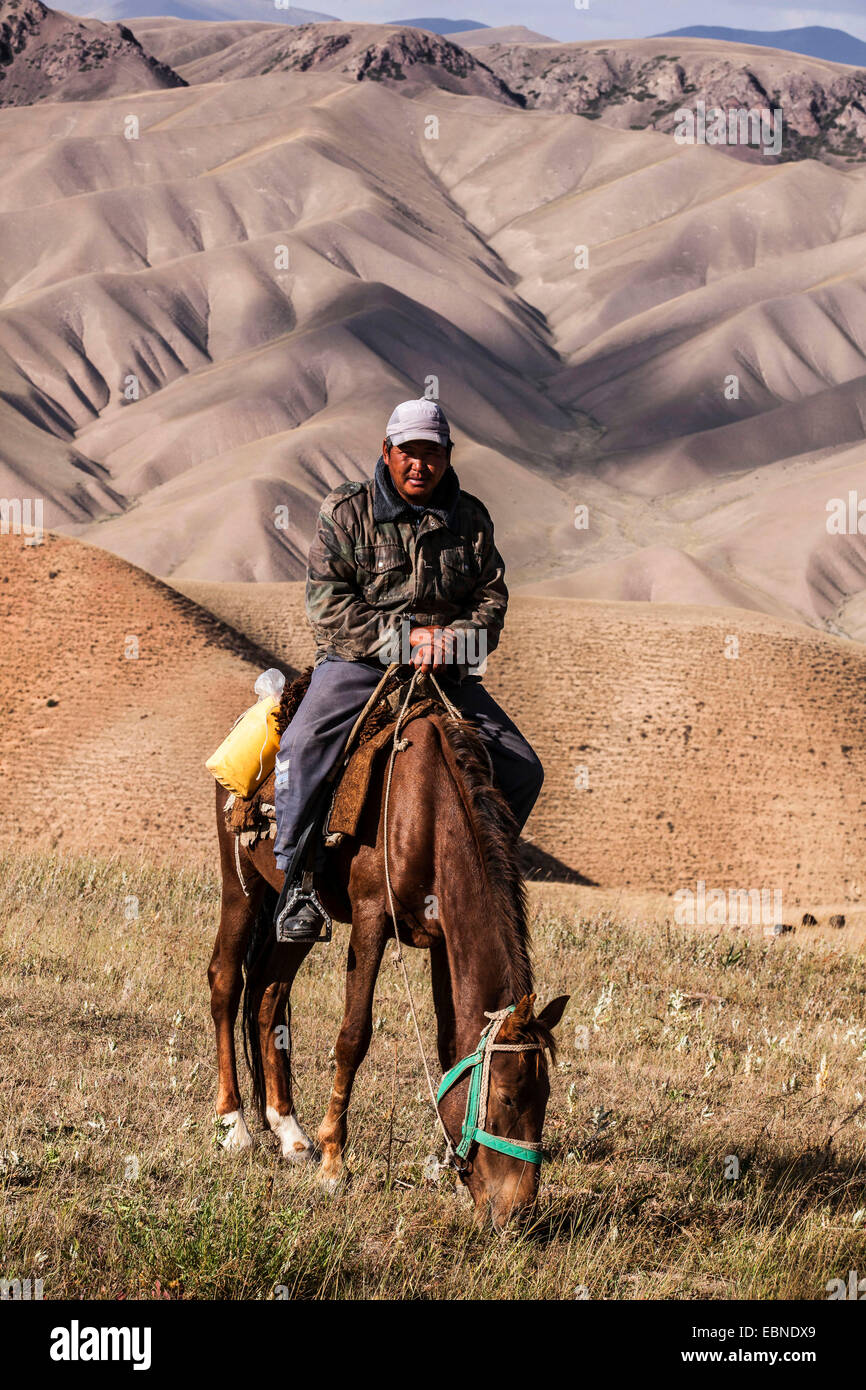 cattleman in steppe, mountain scenery in background, Kyrgyzstan, Lake Song Kol, Naryn Stock Photo