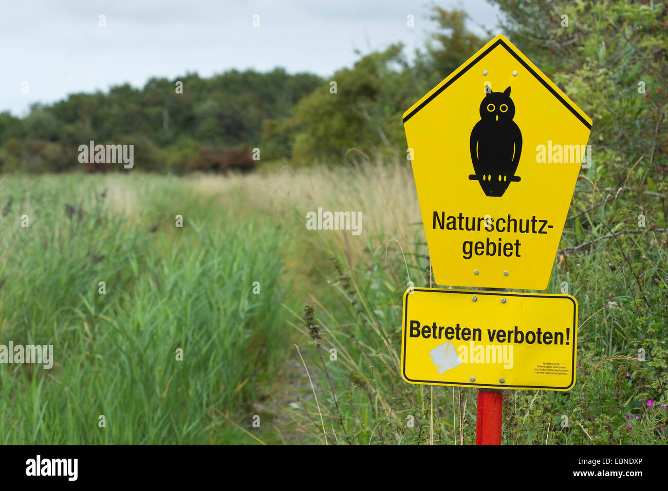 nature reserve sign, owl on pentagonal sign, Germany Stock Photo