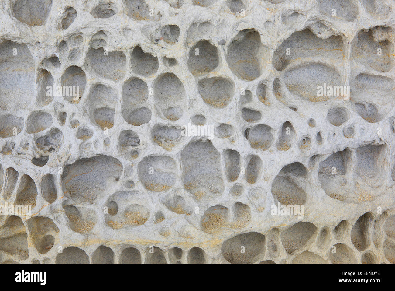 Salt weathering of sandstone, United Kingdom, Scotland Stock Photo