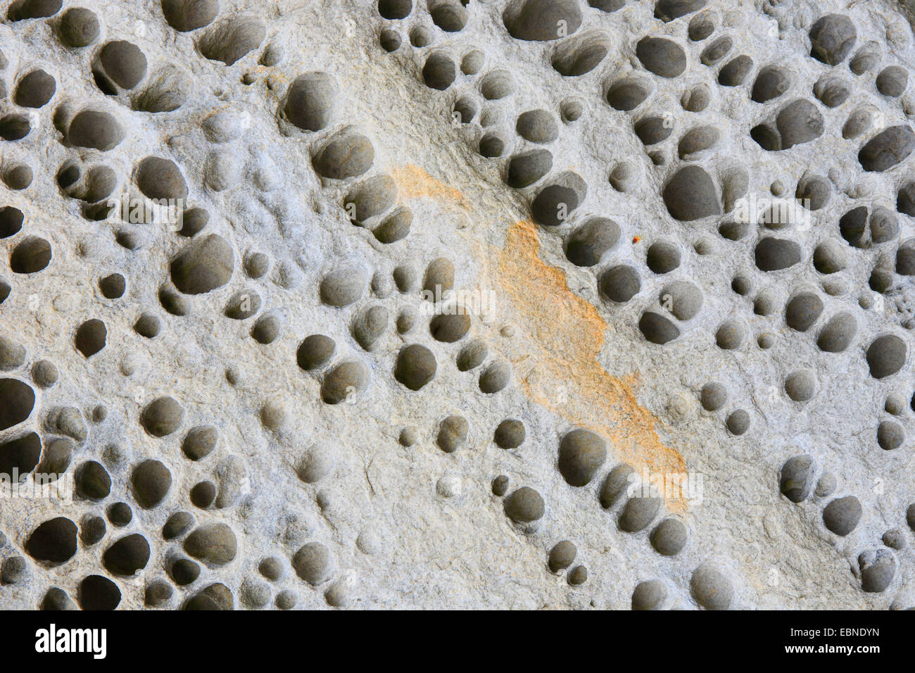 Salt weathering of sandstone, United Kingdom, Scotland Stock Photo