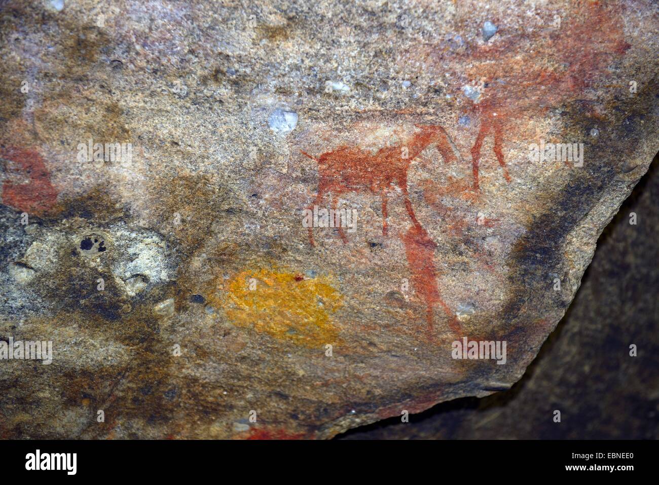old petroglyphes of the San, natives of South Africa, Sevilla Rock Art Trail, Cederberge near Clanwilliam and Wuppertal, South Africa, Western Cape Stock Photo
