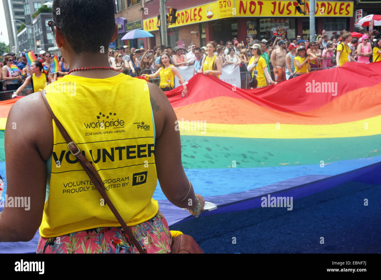 A volunteer holding the rainbow flag at the 2014 World Pride in Toronto Stock Photo Alamy
