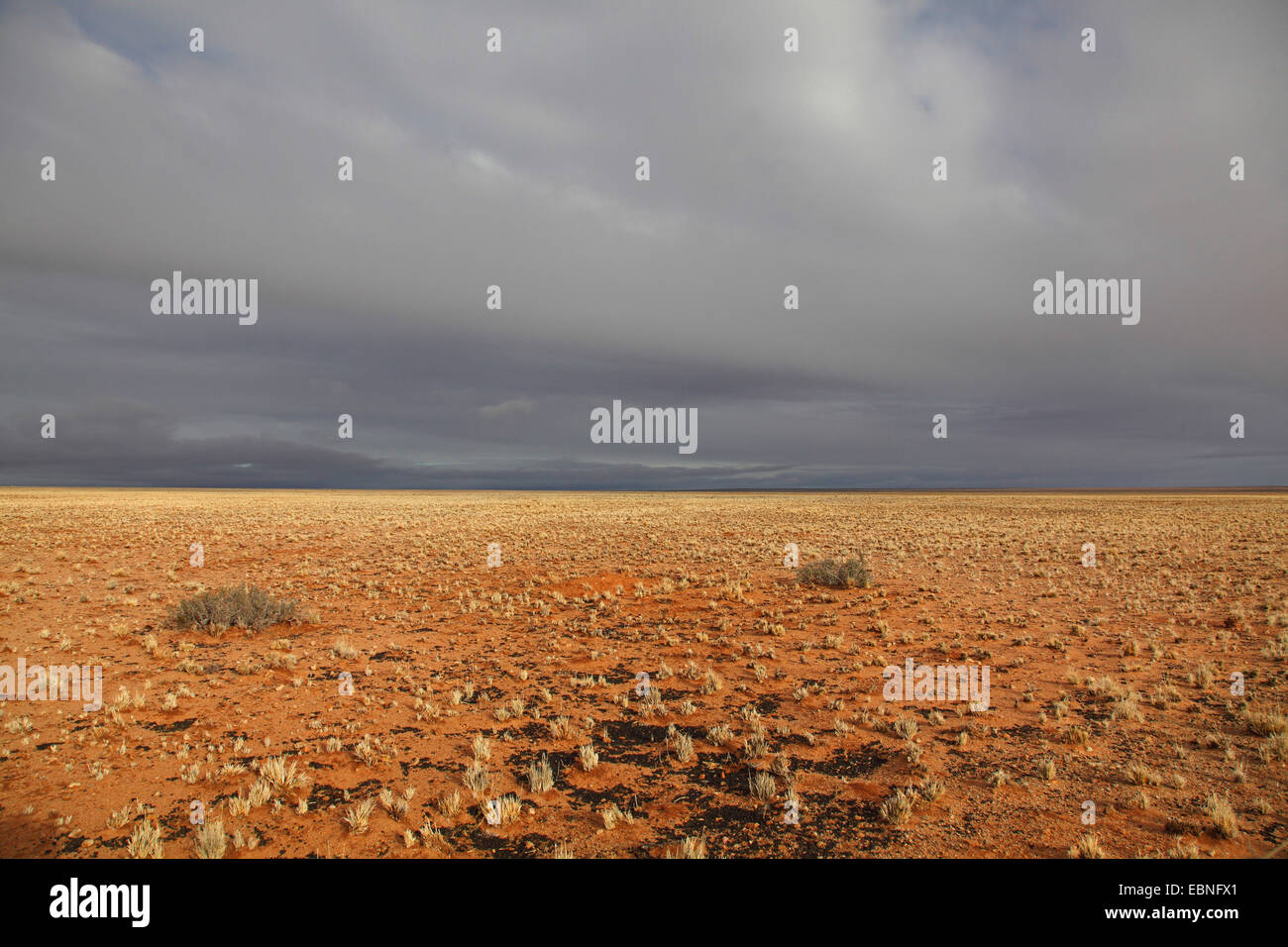 semi-desert at approaching front carrying rain, South Africa, Northern Cape, Aggenys Stock Photo