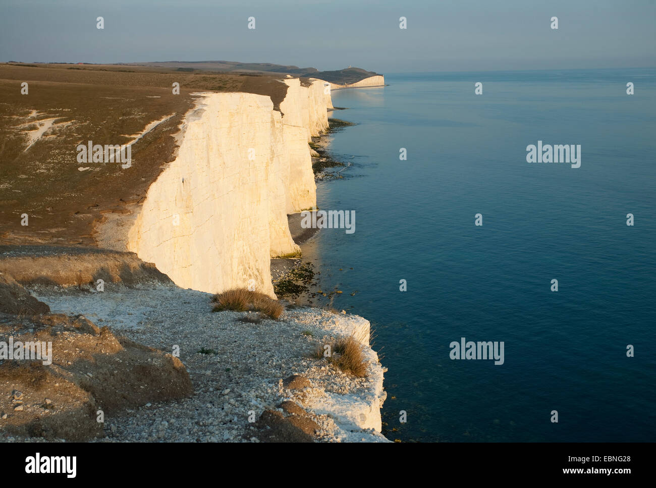 THE SEVEN SISTERS Chalk cliffs, English Channel, South Downs, East Sussex, UK Stock Photo Alamy