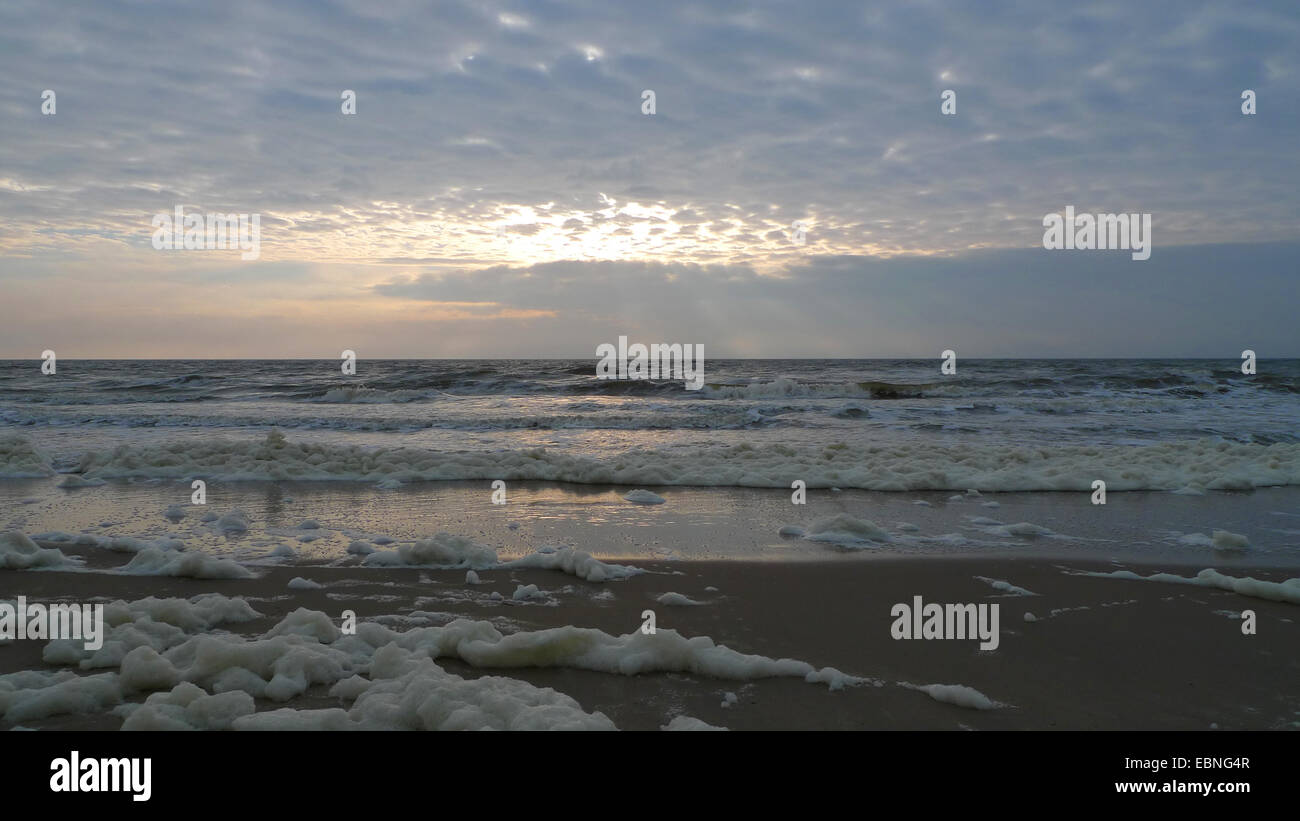 Foam on the beach hi-res stock photography and images - Alamy