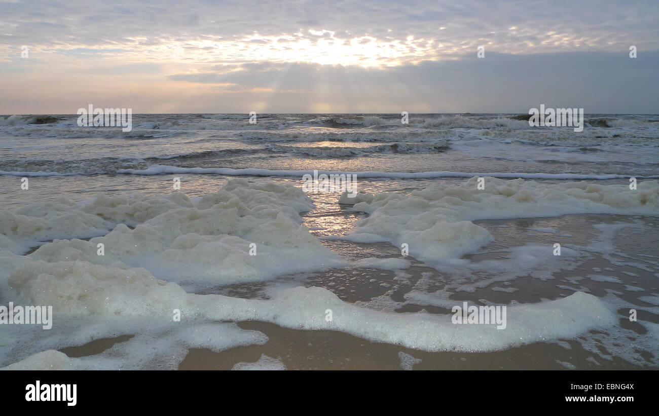 Foam on beach hi-res stock photography and images - Alamy