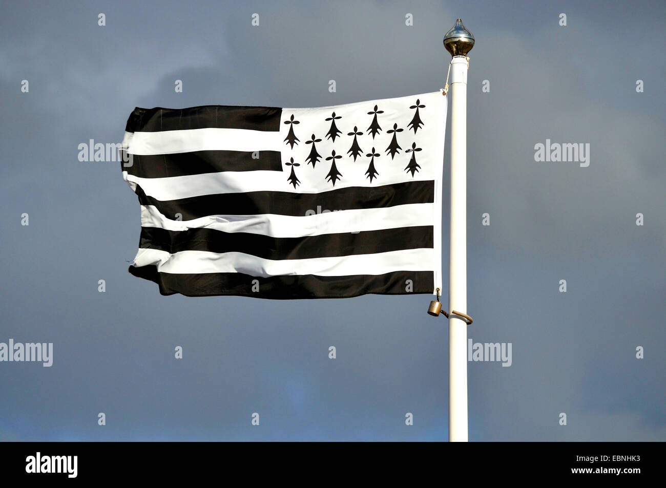 flag of Brittany blowing in the wind, France, Brittany Stock Photo