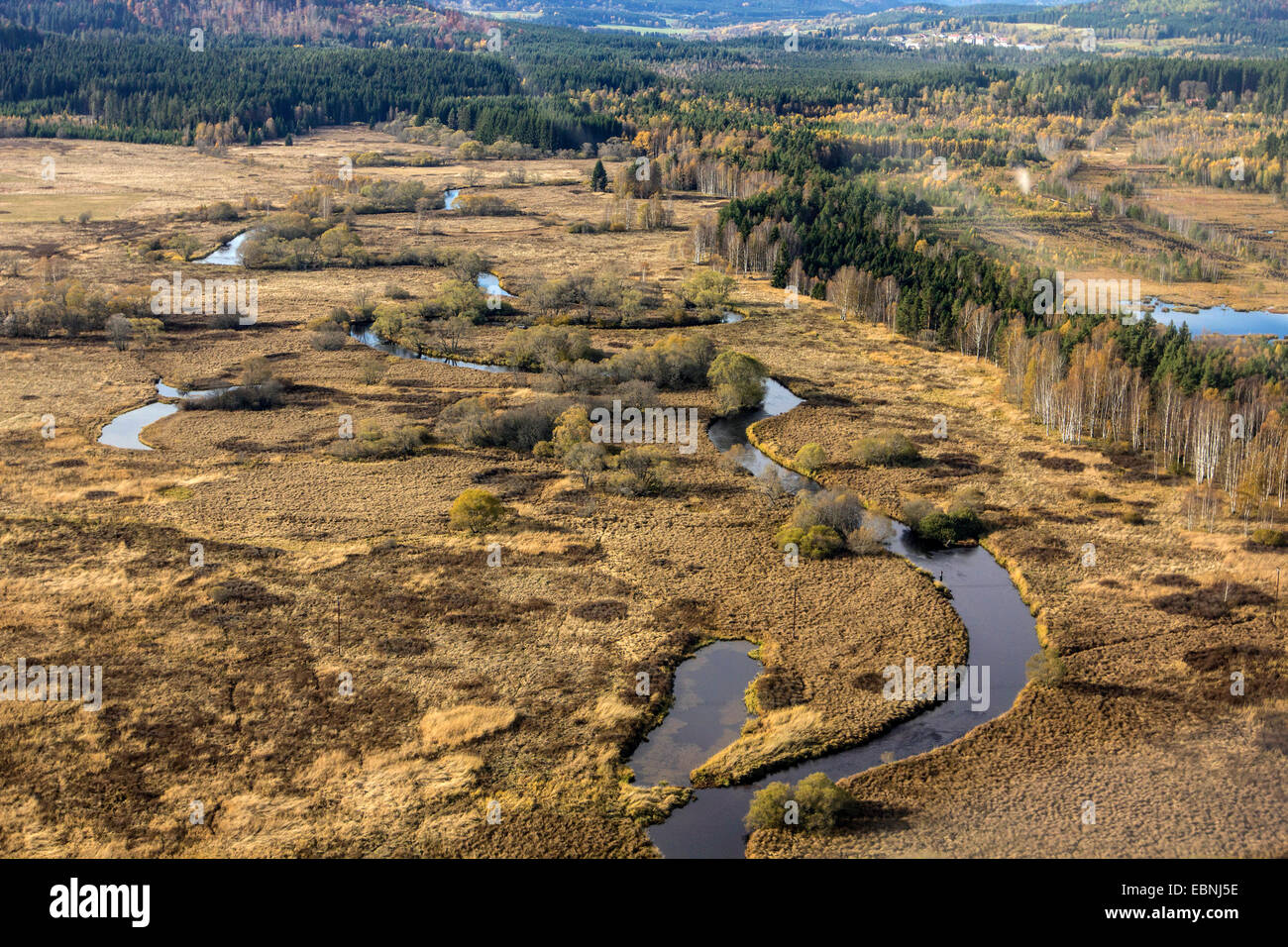 aerial view to meadering river and raised bog, Czech Republic, Sumava Nationalpark Stock Photo