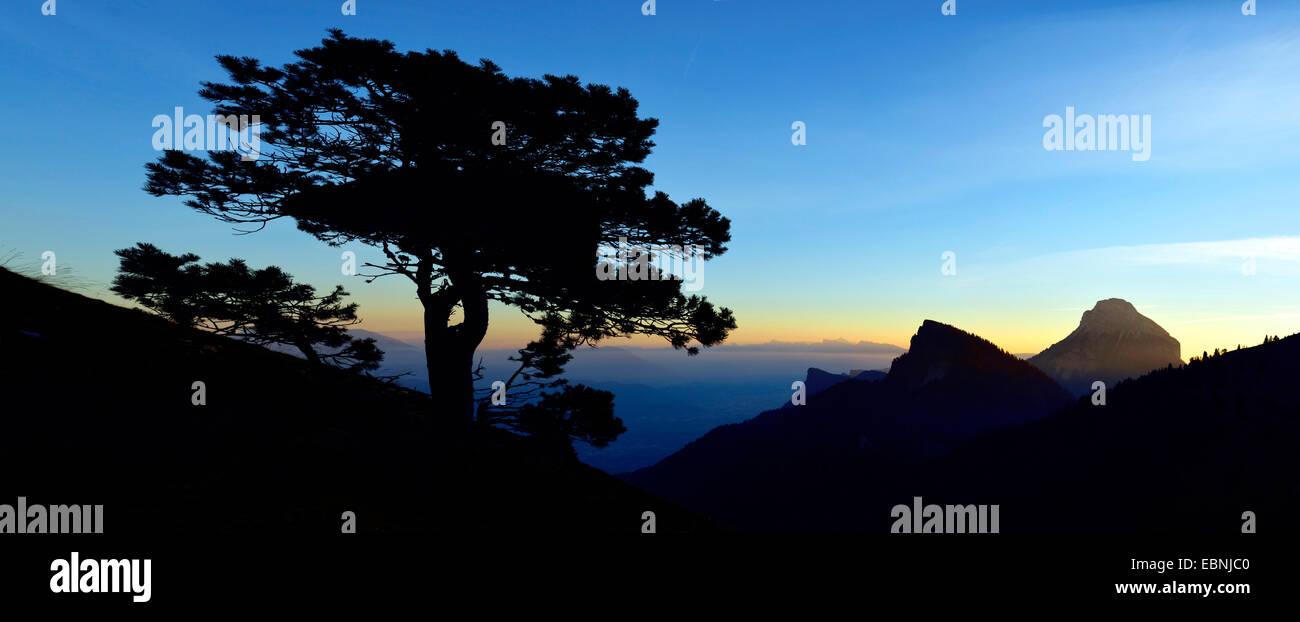 landscape in natural park of Chartreuse, Alps mountains, France, Grenoble Stock Photo