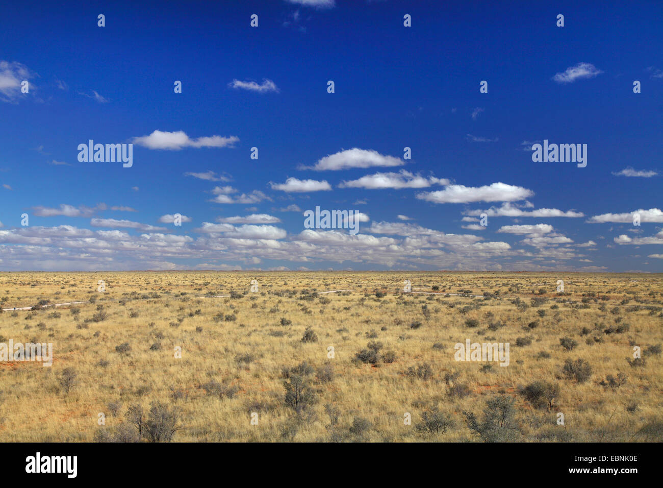 Kalahari Desert, South Africa, Kgalagadi Transfrontier National Park, Kij Kamies Stock Photo